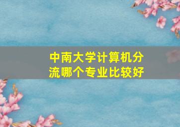 中南大学计算机分流哪个专业比较好