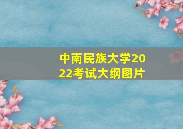 中南民族大学2022考试大纲图片