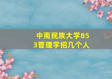 中南民族大学853管理学招几个人