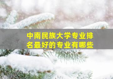 中南民族大学专业排名最好的专业有哪些