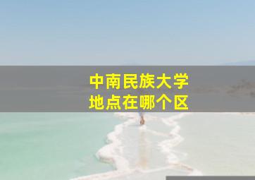 中南民族大学地点在哪个区