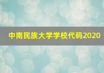 中南民族大学学校代码2020