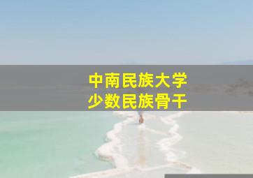 中南民族大学少数民族骨干