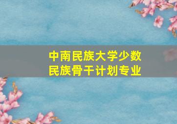 中南民族大学少数民族骨干计划专业