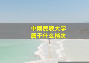 中南民族大学属于什么档次