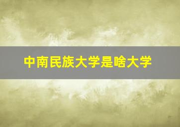 中南民族大学是啥大学