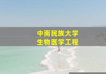 中南民族大学生物医学工程