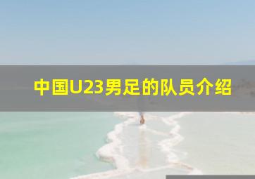 中国U23男足的队员介绍