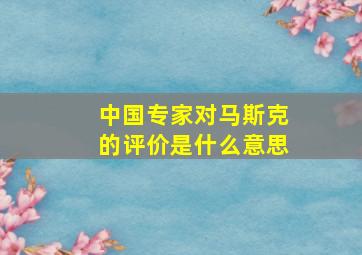 中国专家对马斯克的评价是什么意思