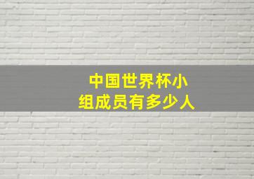 中国世界杯小组成员有多少人