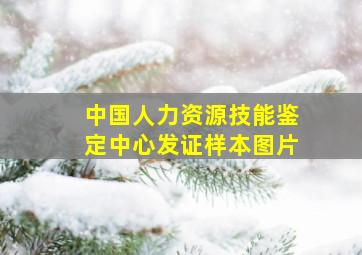 中国人力资源技能鉴定中心发证样本图片