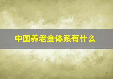 中国养老金体系有什么