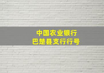 中国农业银行巴楚县支行行号