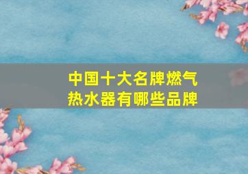 中国十大名牌燃气热水器有哪些品牌