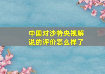 中国对沙特央视解说的评价怎么样了