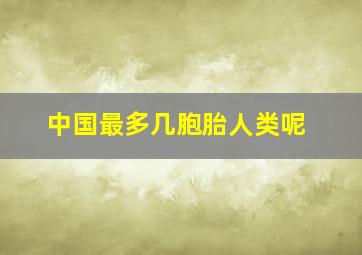 中国最多几胞胎人类呢