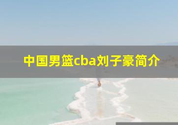 中国男篮cba刘子豪简介