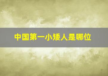 中国第一小矮人是哪位