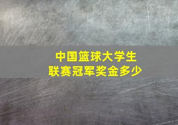 中国篮球大学生联赛冠军奖金多少