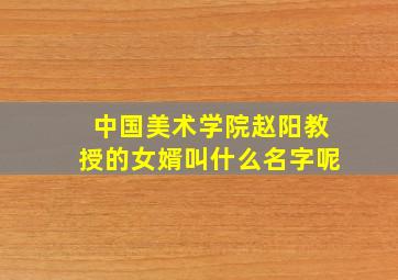 中国美术学院赵阳教授的女婿叫什么名字呢