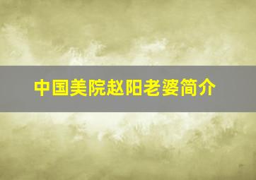 中国美院赵阳老婆简介