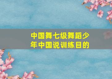 中国舞七级舞蹈少年中国说训练目的