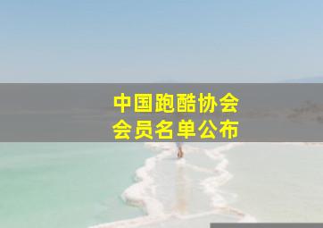 中国跑酷协会会员名单公布