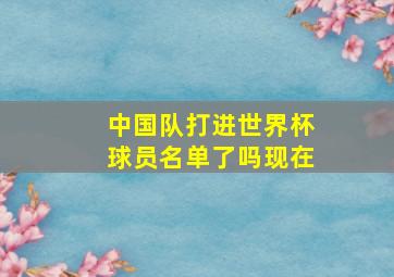 中国队打进世界杯球员名单了吗现在