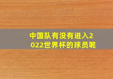 中国队有没有进入2022世界杯的球员呢