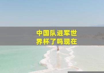 中国队进军世界杯了吗现在