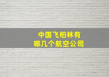 中国飞柏林有哪几个航空公司