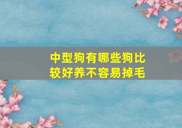 中型狗有哪些狗比较好养不容易掉毛