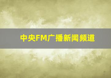 中央FM广播新闻频道