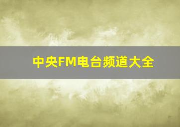 中央FM电台频道大全