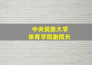 中央民族大学体育学院副院长