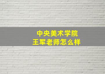 中央美术学院王军老师怎么样