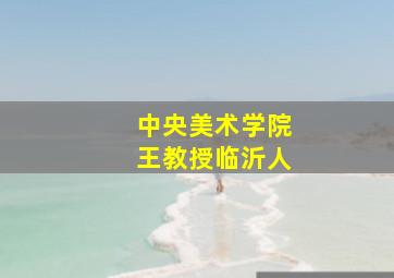 中央美术学院王教授临沂人