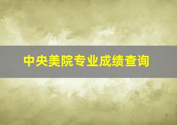 中央美院专业成绩查询