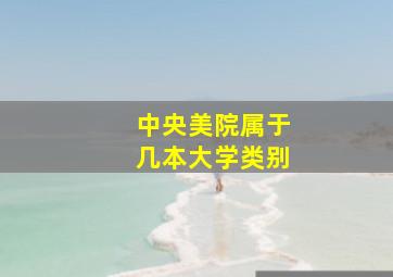 中央美院属于几本大学类别