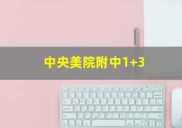 中央美院附中1+3