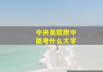 中央美院附中能考什么大学