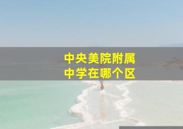 中央美院附属中学在哪个区