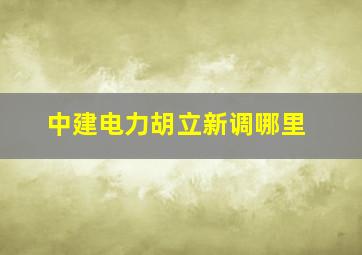 中建电力胡立新调哪里