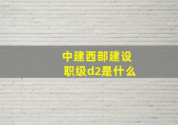 中建西部建设职级d2是什么