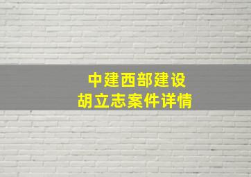 中建西部建设胡立志案件详情