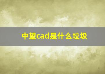 中望cad是什么垃圾