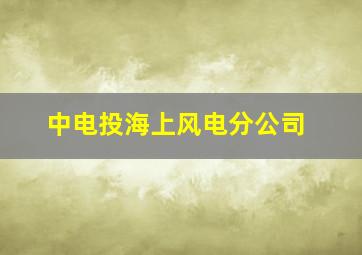 中电投海上风电分公司