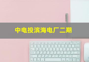 中电投滨海电厂二期