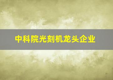 中科院光刻机龙头企业