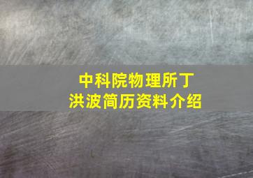 中科院物理所丁洪波简历资料介绍